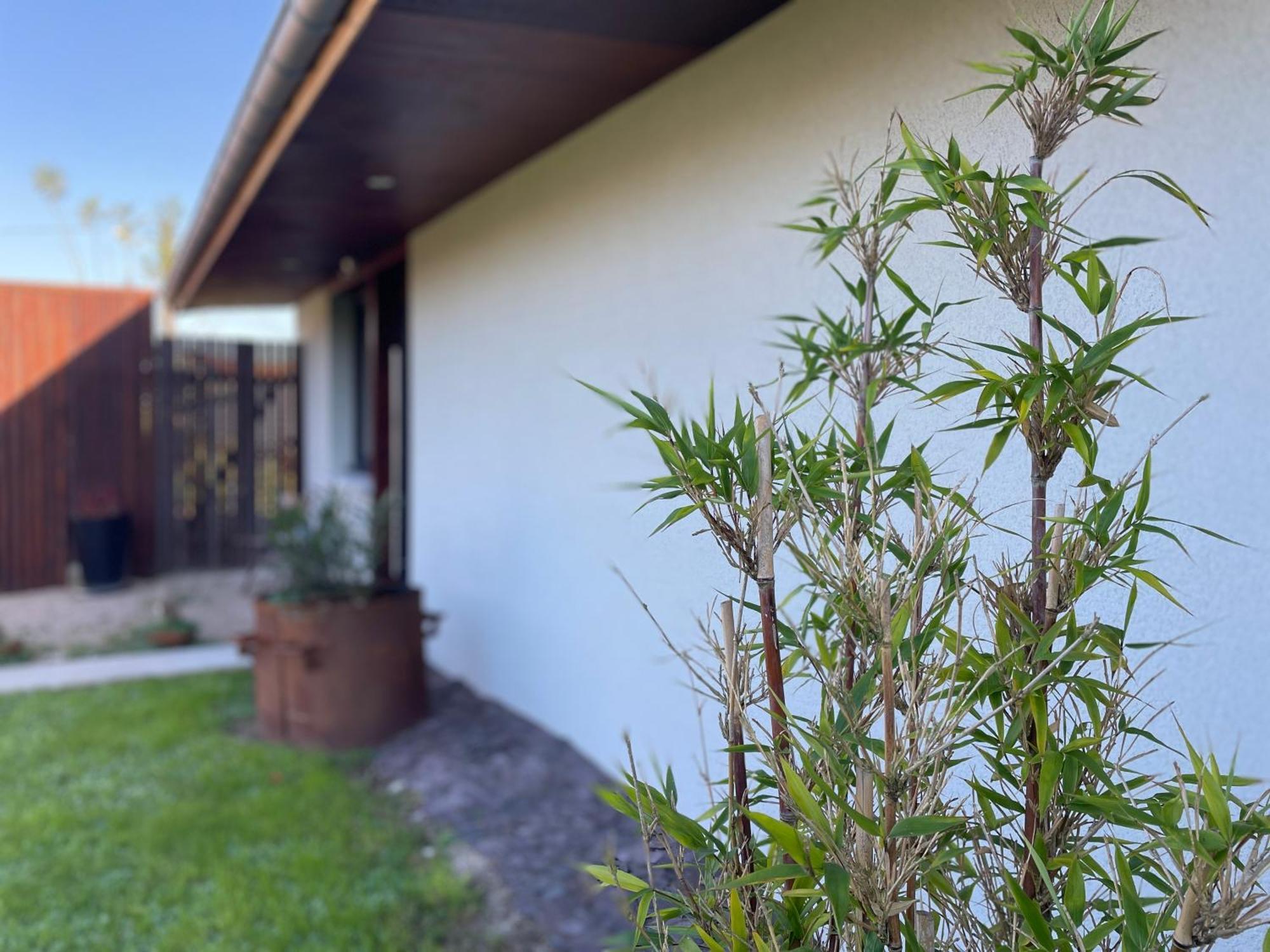 Yanna Lodge, Gite Classe 4 Etoiles Avec Spa Couvert Entierement Arrest Buitenkant foto